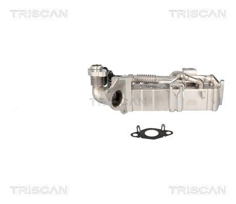 Radiador válvula egr Triscan A/S 8813 11024