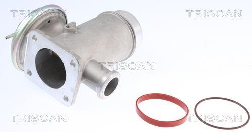 Vanne EGR Triscan A/S 8813 11102