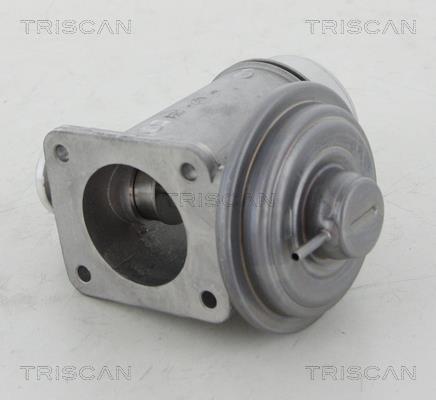Vanne EGR Triscan A/S 8813 11102