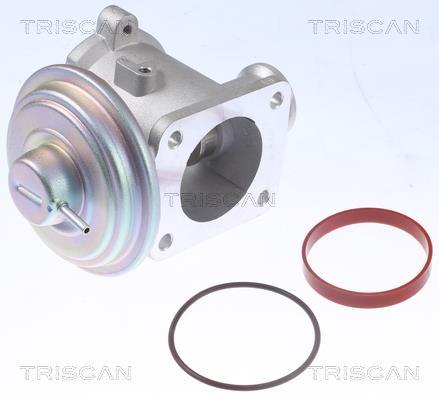 Vanne EGR Triscan A/S 8813 11105