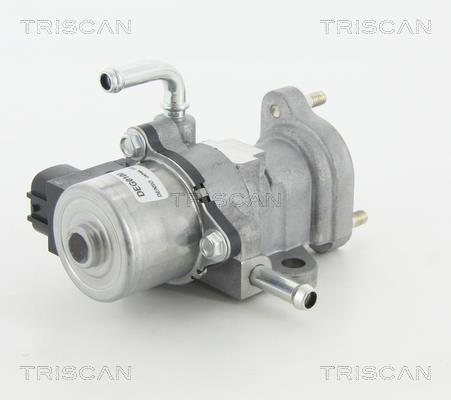 Vanne EGR Triscan A/S 8813 13002