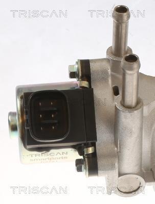 Válvula EGR Triscan A/S ref. 8813 13015