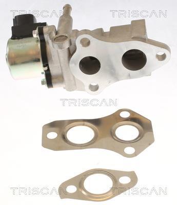 Válvula EGR Triscan A/S ref. 8813 13015