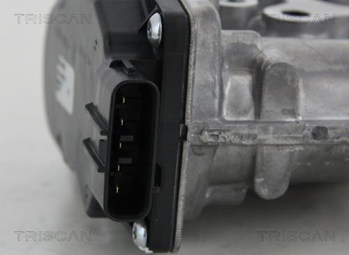 Vanne EGR Triscan A/S 8813 13021