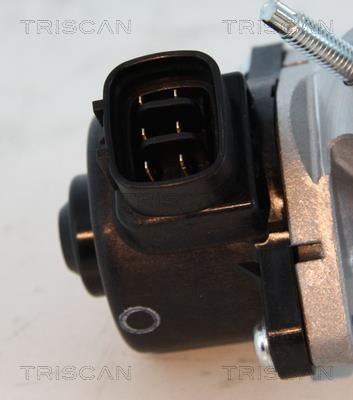 Válvula EGR Triscan A/S 8813 13025