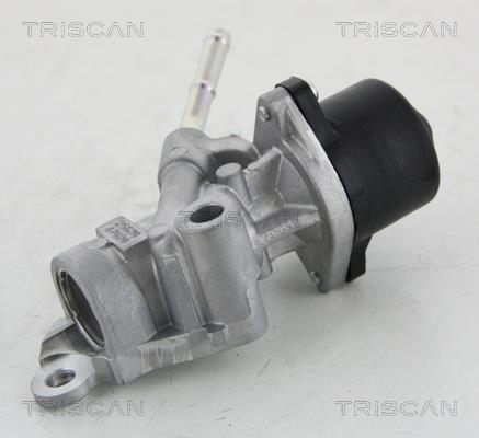 Válvula EGR Triscan A/S 8813 13025