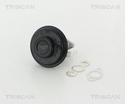 Vanne EGR Triscan A/S 8813 13030