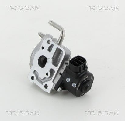 Válvula EGR Triscan A/S 8813 13059