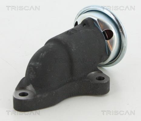Válvula EGR Triscan A/S 8813 13064