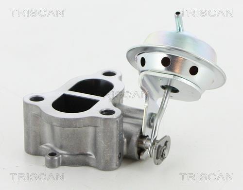 Válvula EGR Triscan A/S ref. 8813 13065