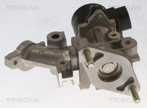 Vanne EGR Triscan A/S ref. 8813 13067