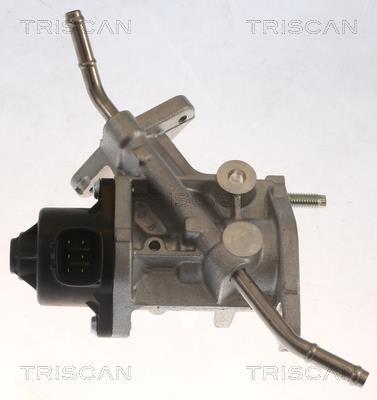 Vanne EGR Triscan A/S 8813 13068
