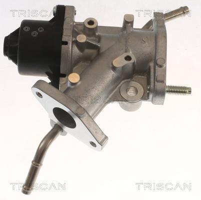 Vanne EGR Triscan A/S 8813 13068