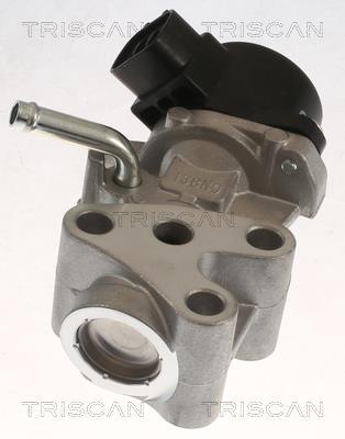 Vanne EGR Triscan A/S ref. 8813 13069