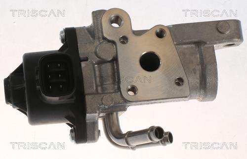 Válvula EGR Triscan A/S ref. 8813 13070