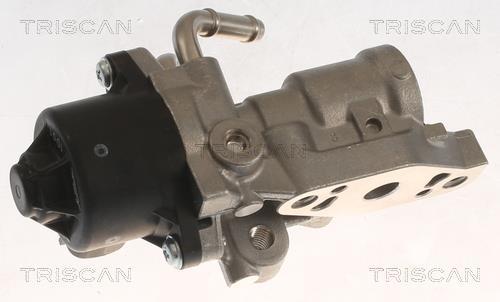 Válvula EGR Triscan A/S ref. 8813 13070