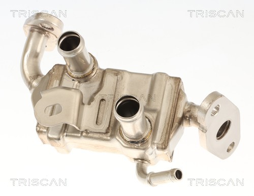 Radiador válvula egr Triscan A/S 8813 13072