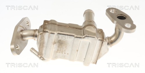 Radiador válvula egr Triscan A/S 8813 13072