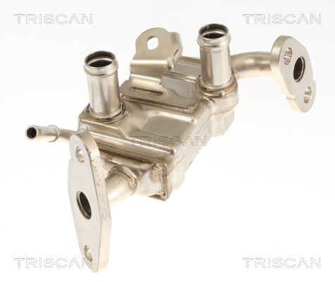 Radiador válvula egr Triscan A/S 8813 13072