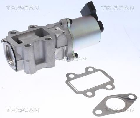 Vanne EGR Triscan A/S 8813 13100