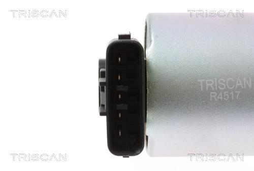 Vanne EGR Triscan A/S 8813 13101