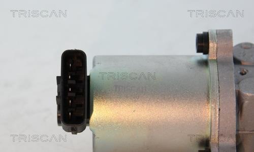 Vanne EGR Triscan A/S 8813 13102