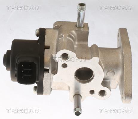 Vanne EGR Triscan A/S 8813 13104