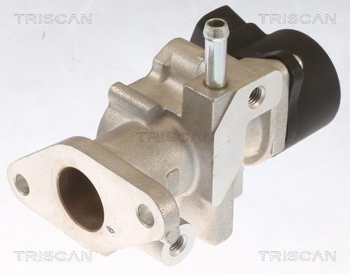 Vanne EGR Triscan A/S 8813 13104