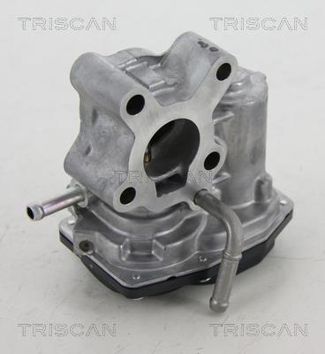 Vanne EGR Triscan A/S 8813 13200