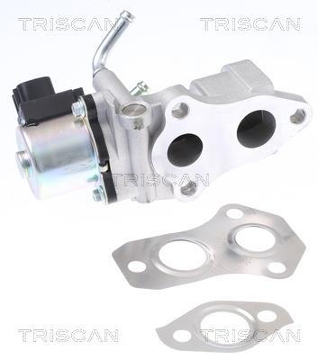Vanne EGR Triscan A/S 8813 13201