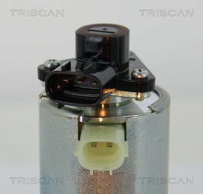 Vanne EGR Triscan A/S 8813 13202
