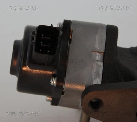 Vanne EGR Triscan A/S 8813 14005