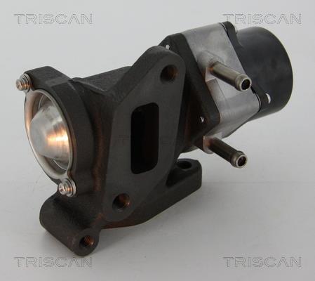 Vanne EGR Triscan A/S 8813 14005
