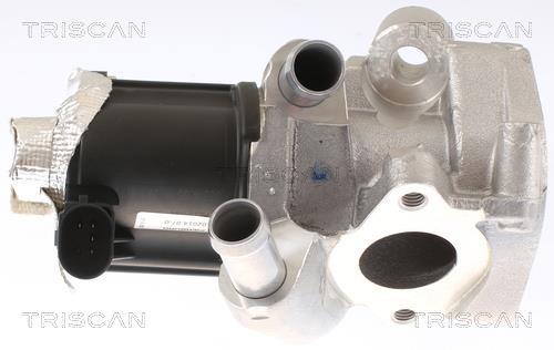 Vanne EGR Triscan A/S 8813 14006