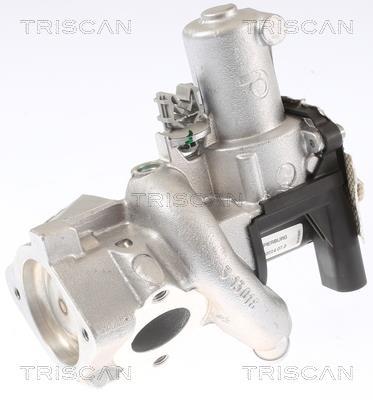 Vanne EGR Triscan A/S 8813 14006