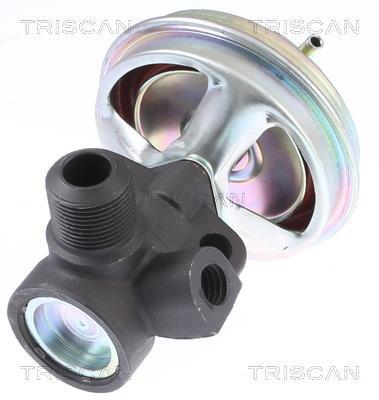 Vanne EGR Triscan A/S 8813 14008
