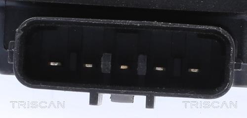 Vanne EGR Triscan A/S 8813 14010