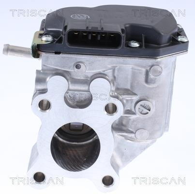 Vanne EGR Triscan A/S 8813 14015