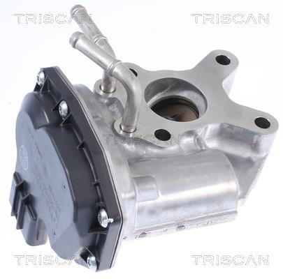 Vanne EGR Triscan A/S 8813 14015