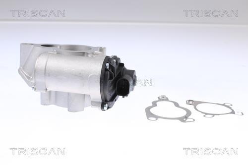 Válvula EGR Triscan A/S ref. 8813 14025