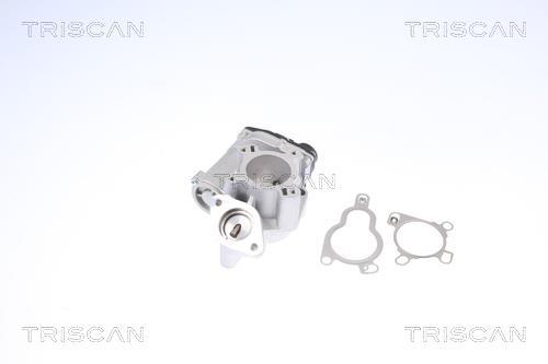 Válvula EGR Triscan A/S ref. 8813 14025