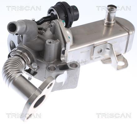 Radiador válvula egr Triscan A/S ref. 8813 14031