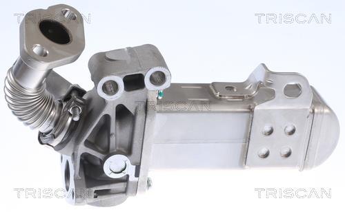 Radiador válvula egr Triscan A/S ref. 8813 14031
