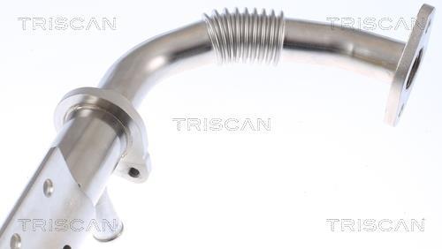 Radiateur, réaspiration des gaz d'échappement Triscan A/S 8813 14032