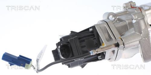 Vanne EGR Triscan A/S 8813 15001