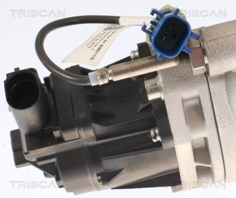 Vanne EGR Triscan A/S 8813 15001