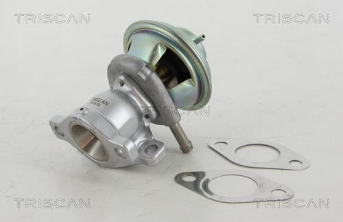 Vanne EGR Triscan A/S 8813 15029