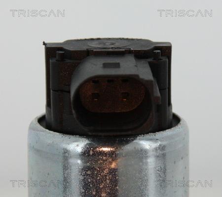 Vanne EGR Triscan A/S 8813 15052