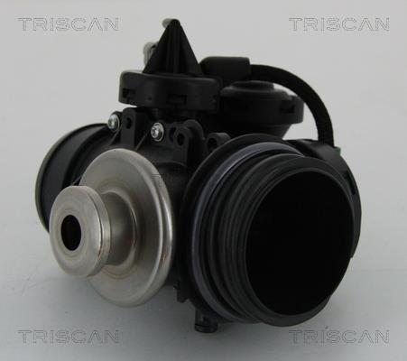 Vanne EGR Triscan A/S 8813 15056