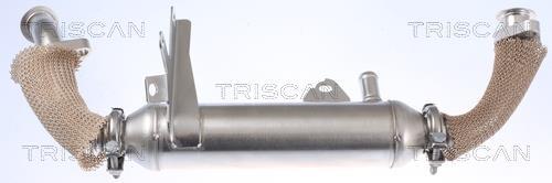 Radiador válvula egr Triscan A/S ref. 8813 15071